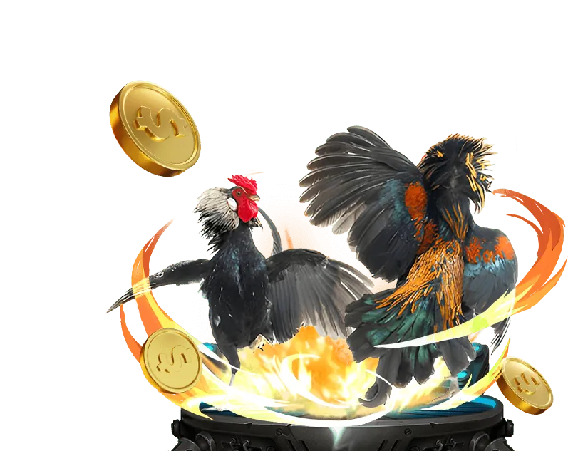 Hướng dẫn và chiến lược cá cược chi tiết